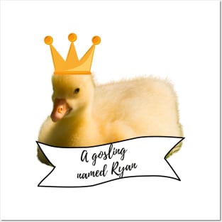 Royal Geese A Gosling Named Ryan Posters and Art